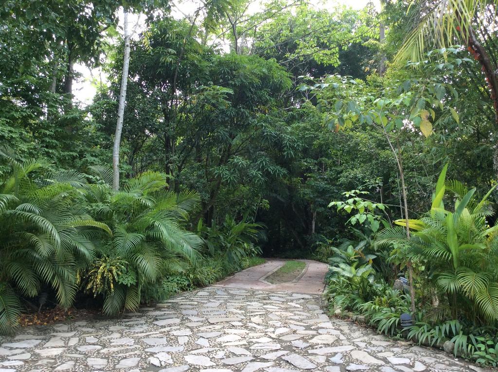 Hotel Boutique Quinta Chanabnal Palenque Eksteriør bilde